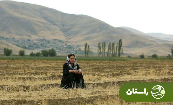 بیوگرافی نیکی کریمی «عروس» پرافتخار سینمای ایران بیوگرافی نیکی کریمی «عروس» پرافتخار سینمای ایران
