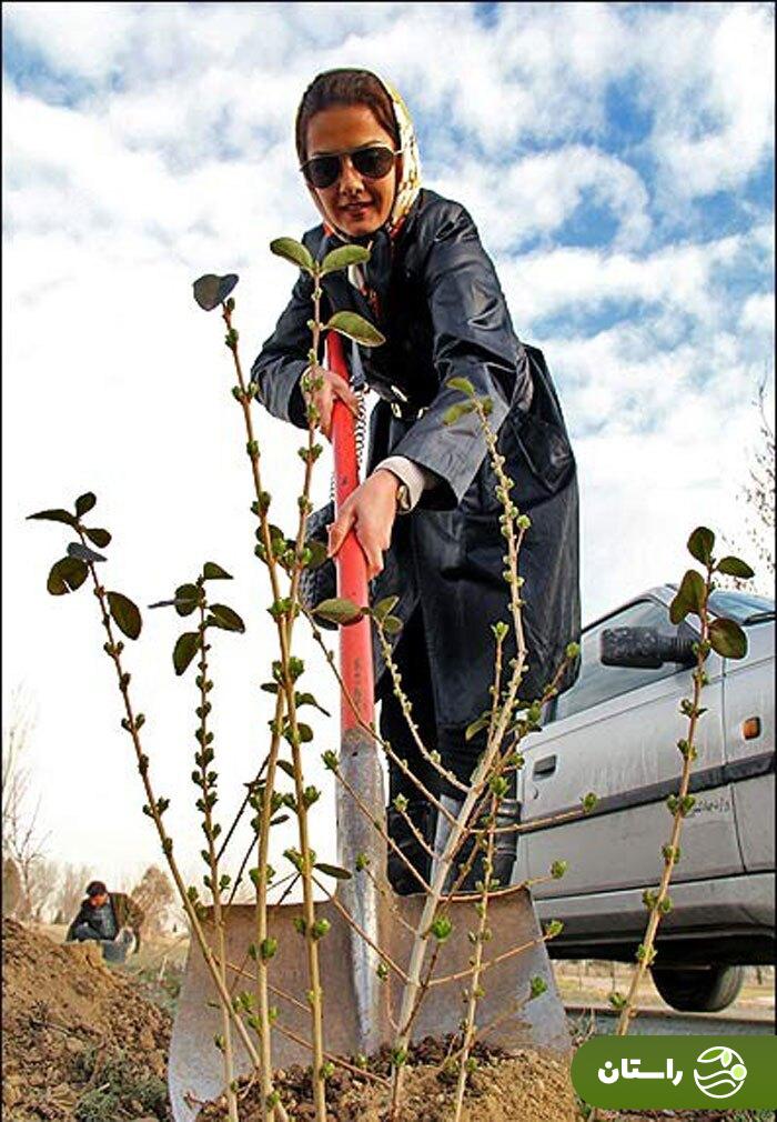 تصاویر | تونل زمان؛ گوهر خیراندیش، مرجانه گلچین، بیتا سحرخیز و شهره سلطانی با بیل و آبپاش در سال ۹۲ تصاویر | تونل زمان؛ گوهر خیراندیش، مرجانه گلچین، بیتا سحرخیز و شهره سلطانی با بیل و آبپاش در سال ۹۲