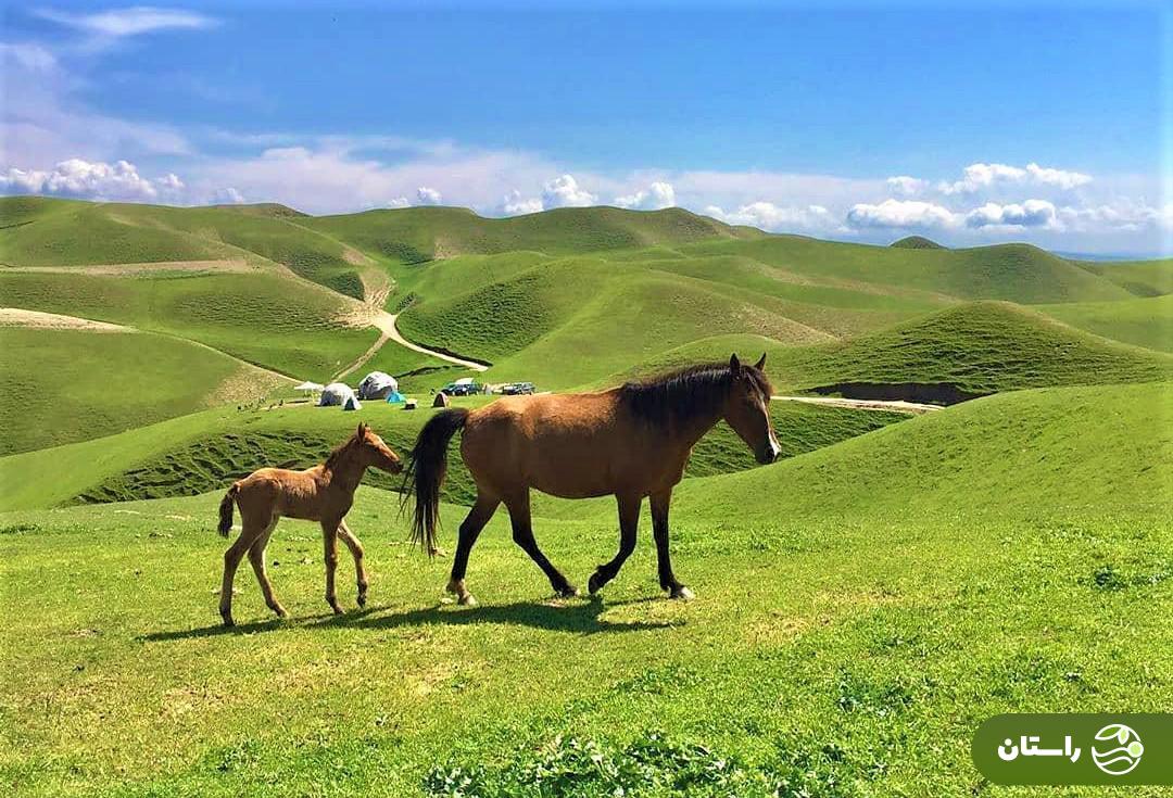 عید نوروز کجا بریم؟ ۳۰ پیشنهاد هیجان‌انگیز برای سفر در نوروز ۱۴۰۴