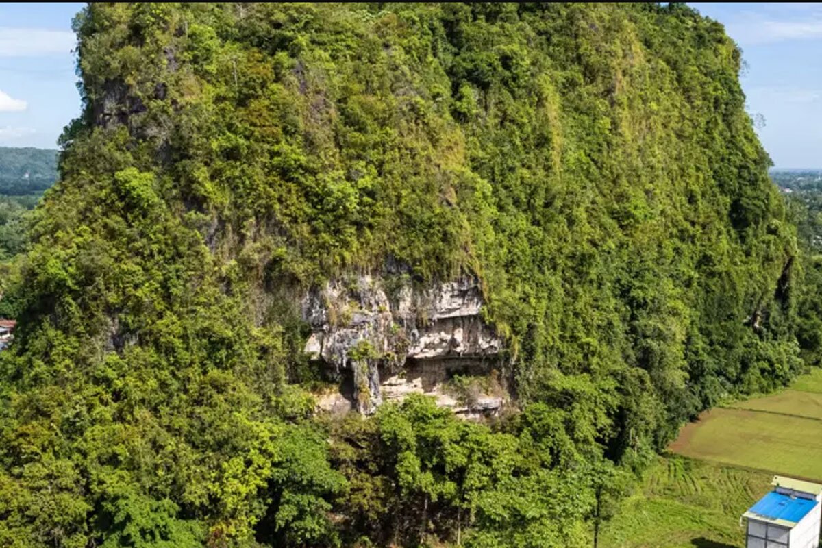 کشف قدیمیترین هنر غار با بیش از ۵۱ هزار سال قدمت | این کشف تصور ما از تکامل انسان را عوض میکند کشف قدیمیترین هنر غار با بیش از ۵۱ هزار سال قدمت | این کشف تصور ما از تکامل انسان را عوض میکند
