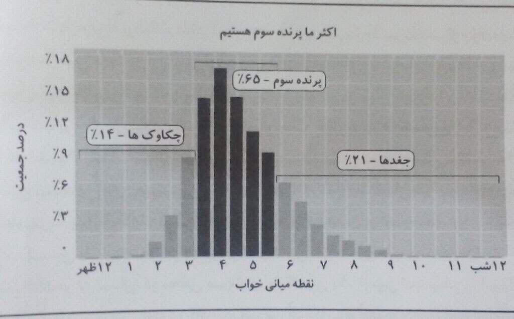 جغد شب هستید یا چکاوک صبح یا پرنده سوم؟!