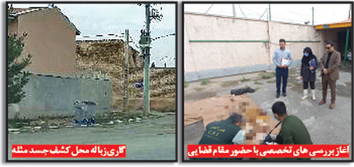 معمای جسد مثله شده در گاری زباله!