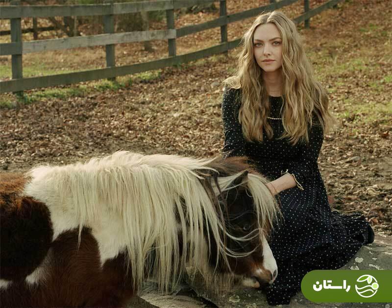 (تصاویر) بیوگرافی و عکس‌های شخصی آماندا سایفرد (Amanda Michelle Seyfried)