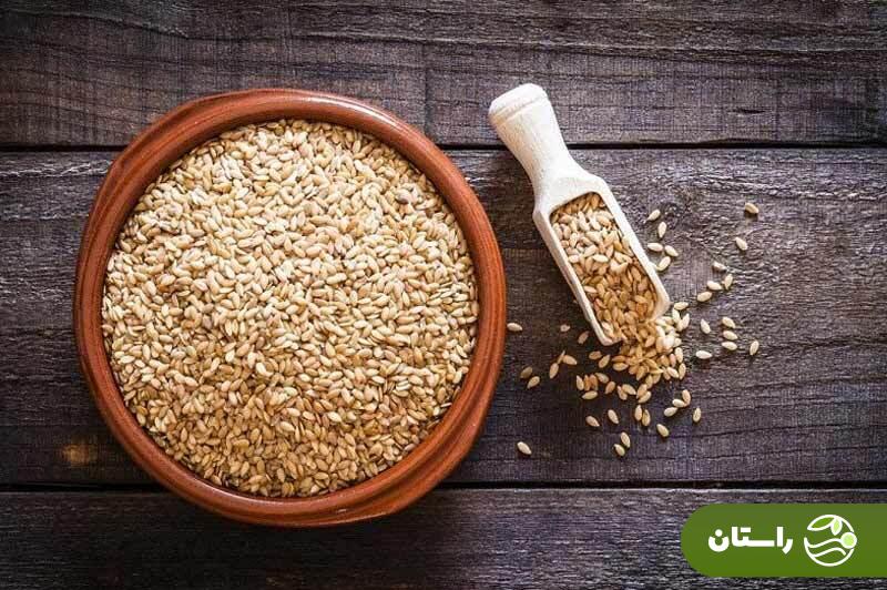 مواد غذایی حاوی امگا ۳ چیست؟ با غنی‌ترین غذاها از اسید چرب امگاه سه آشنا شوید