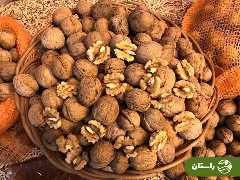 مواد غذایی حاوی امگا ۳ چیست؟ با غنی‌ترین غذاها از اسید چرب امگاه سه آشنا شوید