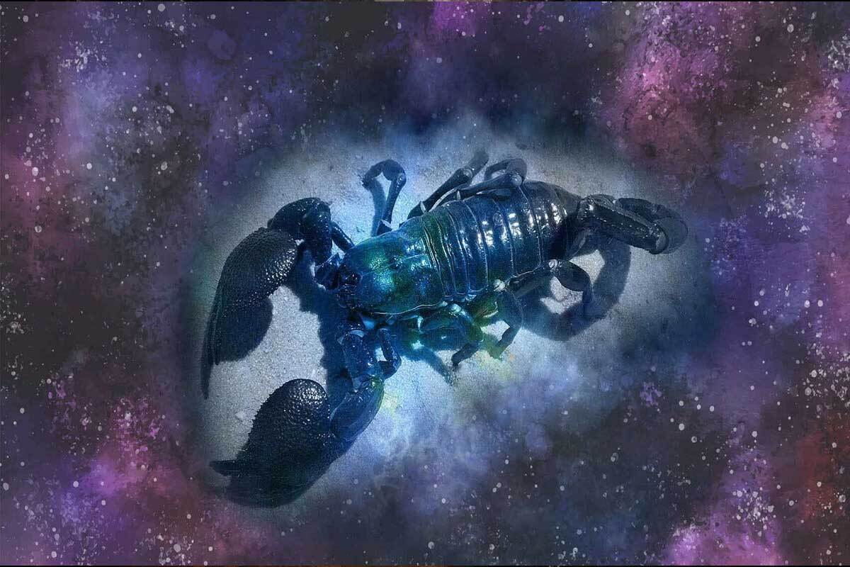 خصوصیات متولدین آبان (Scorpio) را بدانید؛ پرشور و نافذ! خصوصیات متولدین آبان (Scorpio) را بدانید؛ پرشور و نافذ!