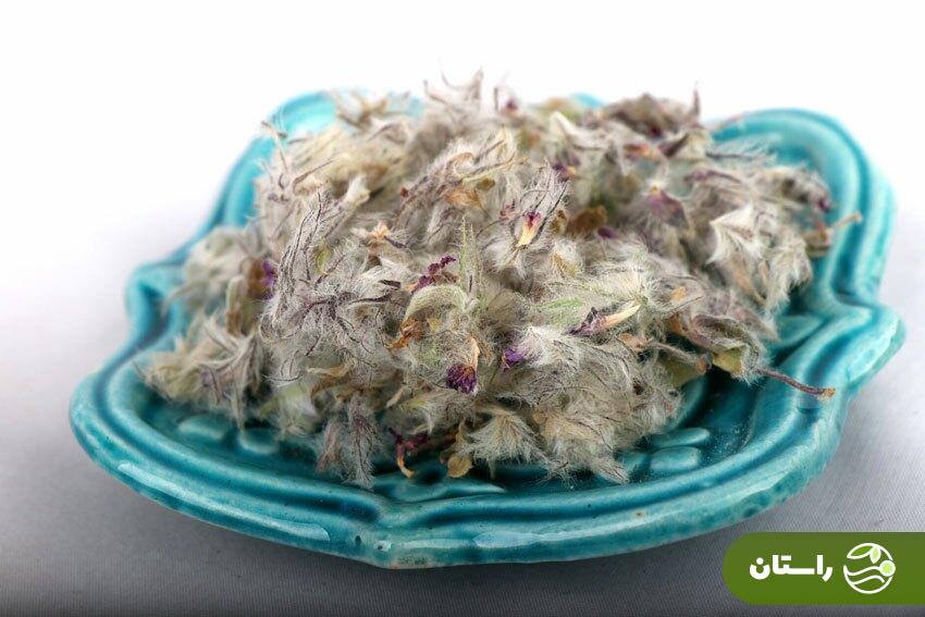 خواص چای کوهی خواص چای کوهی؛ از درمان افسردگی تا تقویت قوای جنسی