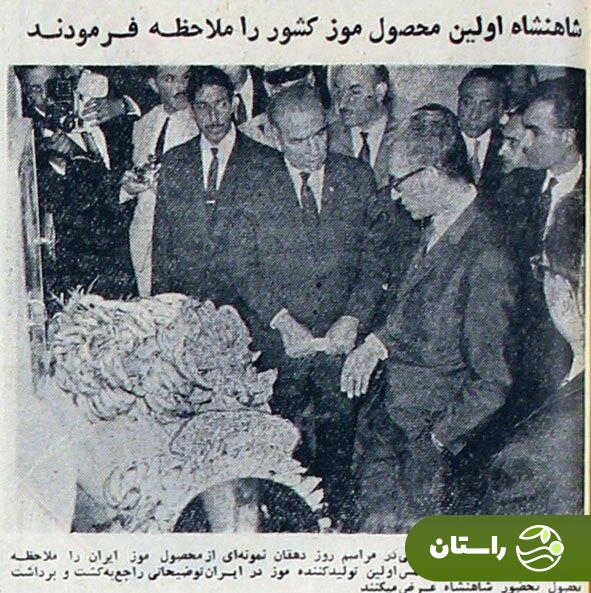عکس | روزنامهخوانی در ۶۰ پیش؛ مردی با دندانهای آلومینیومی و مشاهده اولین موز کشور توسط شاه! عکس | روزنامهخوانی در ۶۰ پیش؛ مردی با دندانهای آلومینیومی و مشاهده اولین موز کشور توسط شاه!