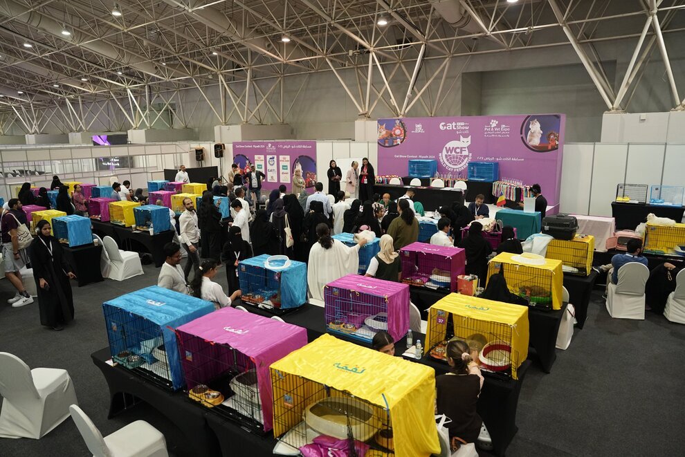 تصاویر | اولین نمایشگاه بین المللی گربه در عربستان