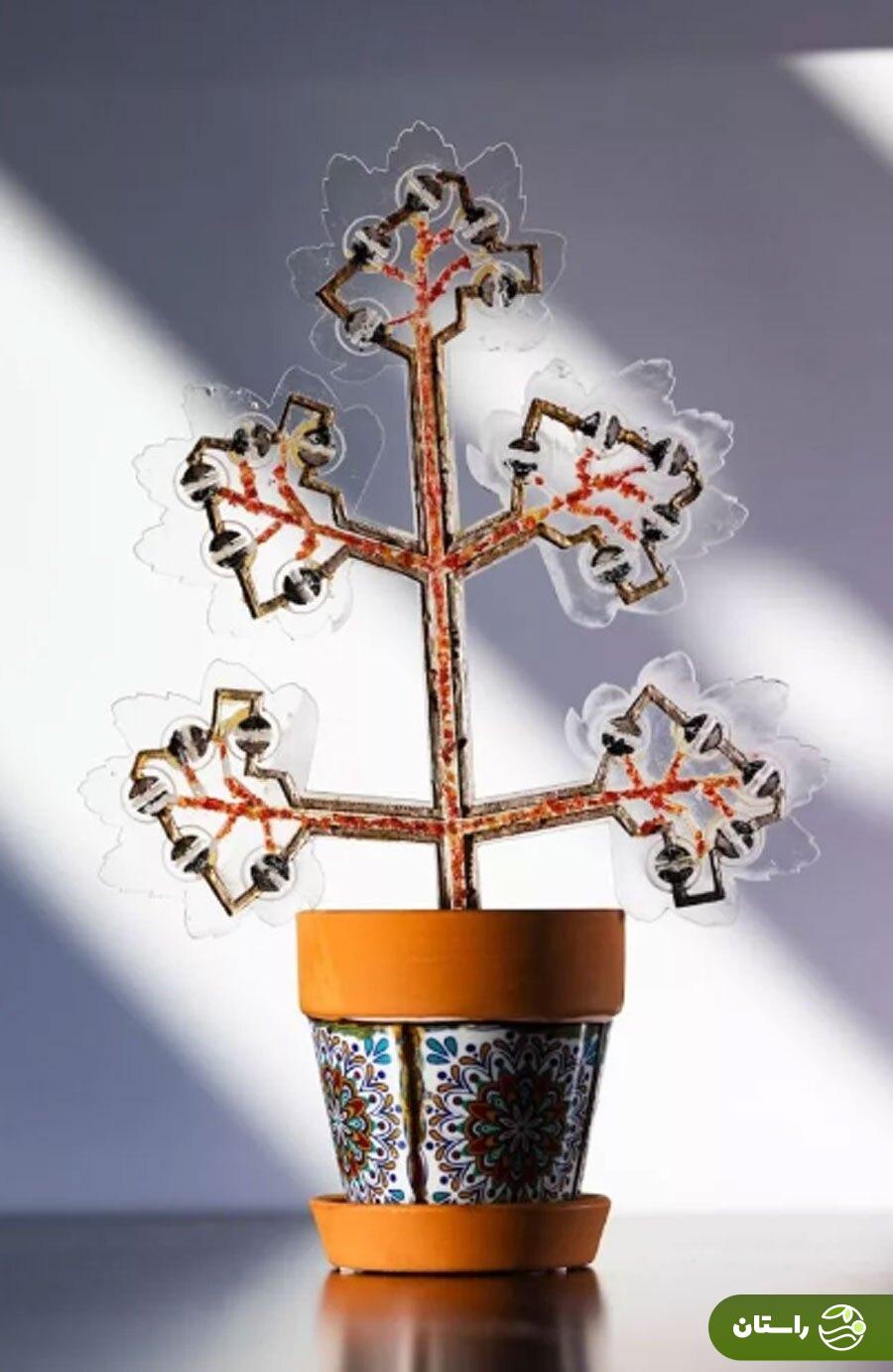 عکس | این دختر ایرانی جهان را شگفتزده کرد عکس | این دختر ایرانی جهان را شگفتزده کرد