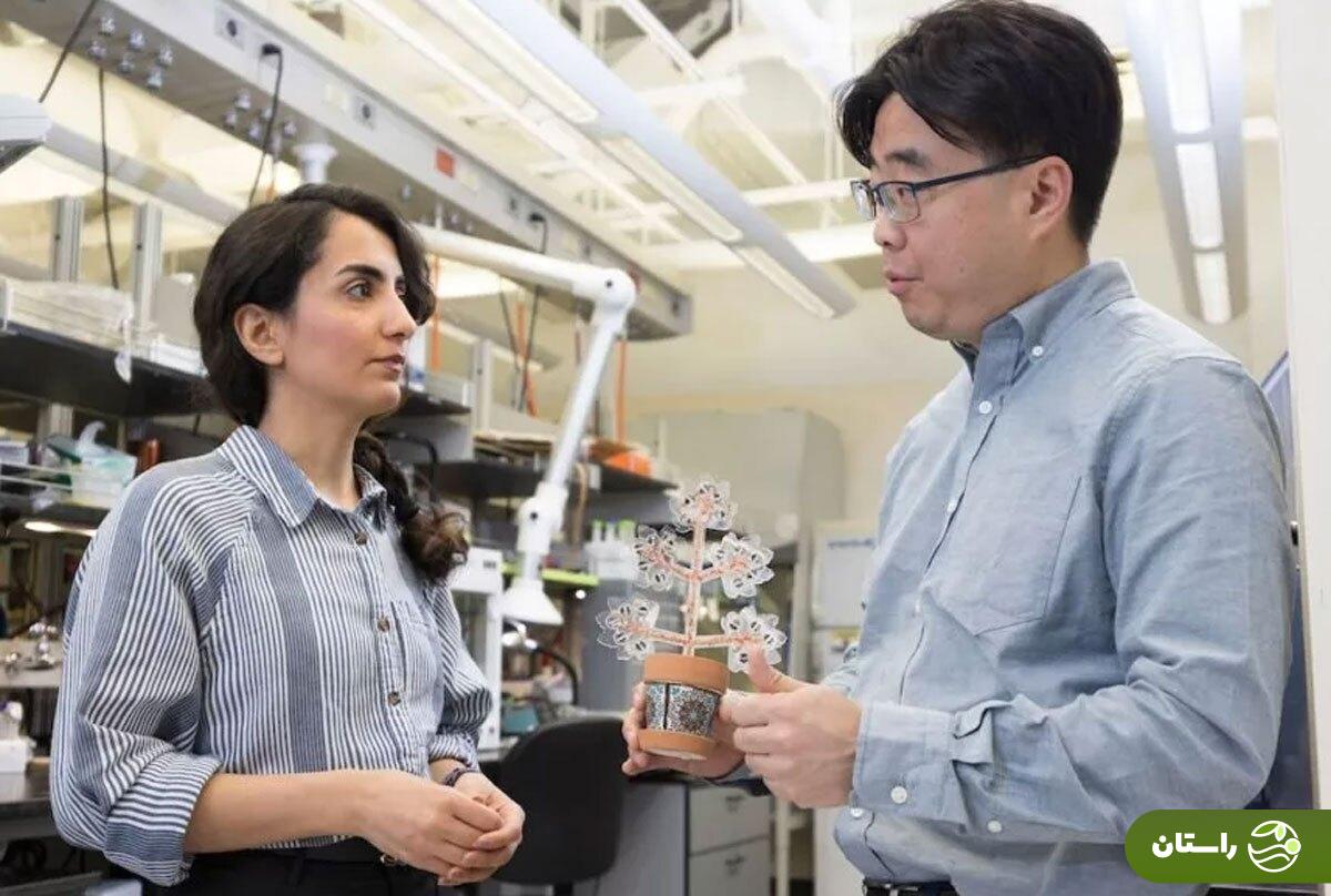 عکس | این دختر ایرانی جهان را شگفتزده کرد عکس | این دختر ایرانی جهان را شگفتزده کرد