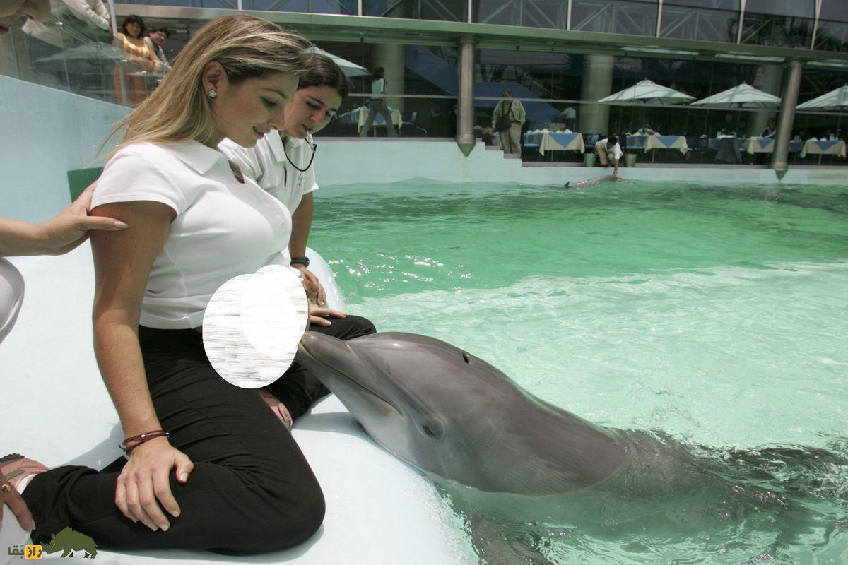 زایمان زنان با کمک دلفین؛ ماجرا چیست؟ زایمان زنان با کمک دلفین؛ ماجرا چیست؟