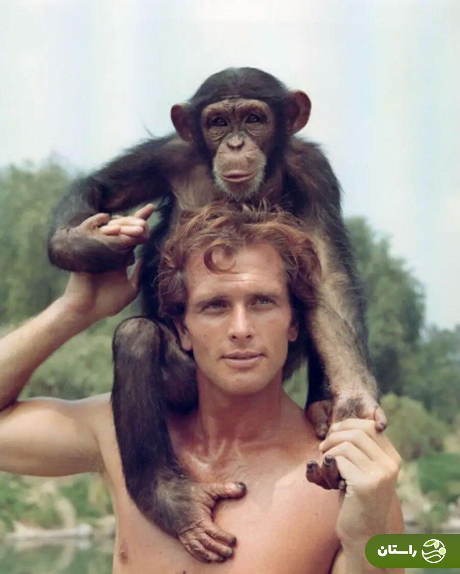 ران ایلی ستاره سریال تارزان در ۸۶ سالگی درگذشت ران ایلی ستاره سریال تارزان در ۸۶ سالگی درگذشت