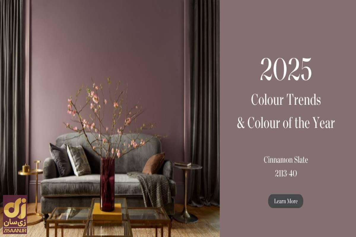 تصاویر | رنگ سال ۲۰۲۵ چیست؟ رنگ فوق زیبایی که «پنتون» برای سال ۲۰۲۵ برگزید تصاویر | رنگ سال ۲۰۲۵ چیست؟ رنگ فوق زیبایی که «پنتون» برای سال ۲۰۲۵ برگزید