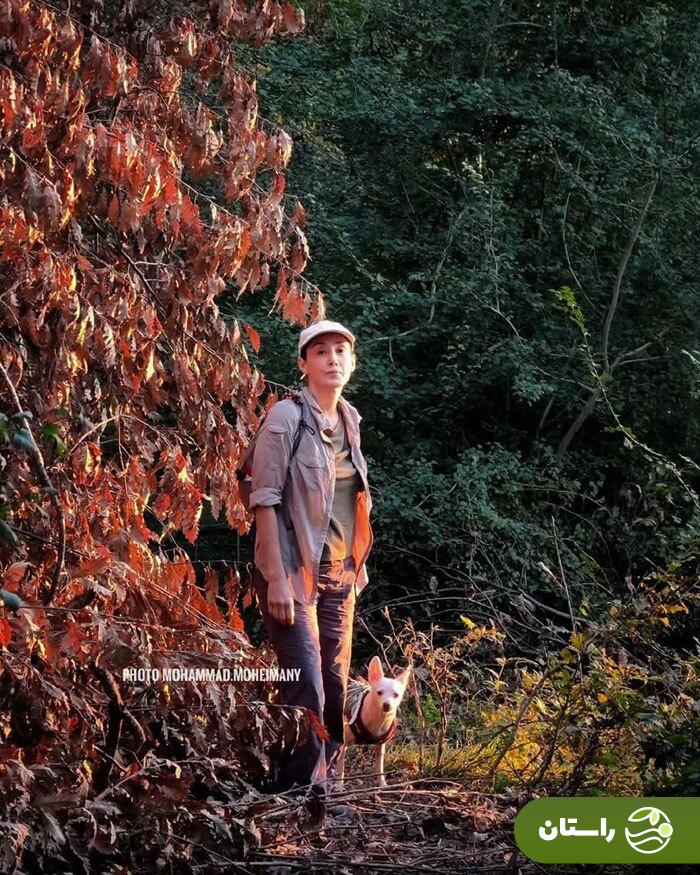 تصاویر جدید از طبیعت گردی هدیه تهرانی در جنگلهای گلستان تصاویر جدید از طبیعت گردی هدیه تهرانی در جنگلهای گلستان