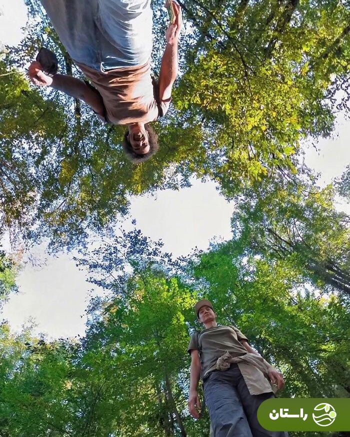 تصاویر جدید از طبیعت گردی هدیه تهرانی در جنگلهای گلستان تصاویر جدید از طبیعت گردی هدیه تهرانی در جنگلهای گلستان