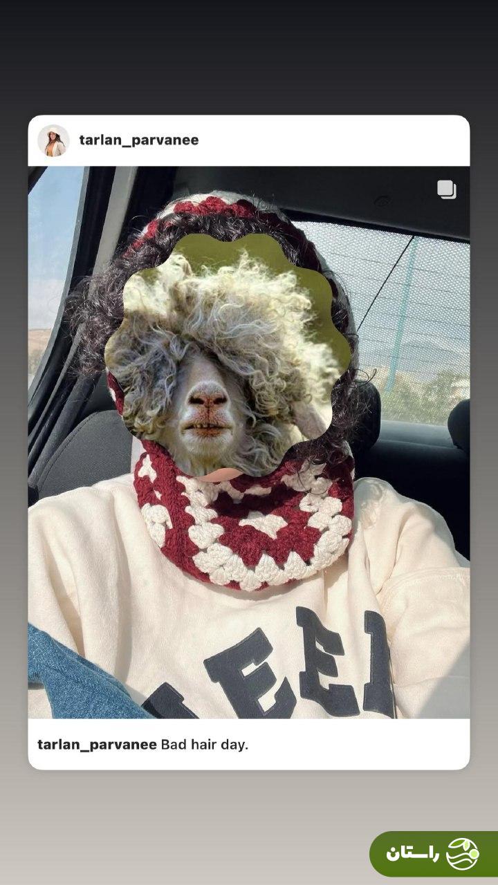 عکس | شوخی بامزه ترلان پروانه و مقایسه چهره جدیدش با گوسفند!