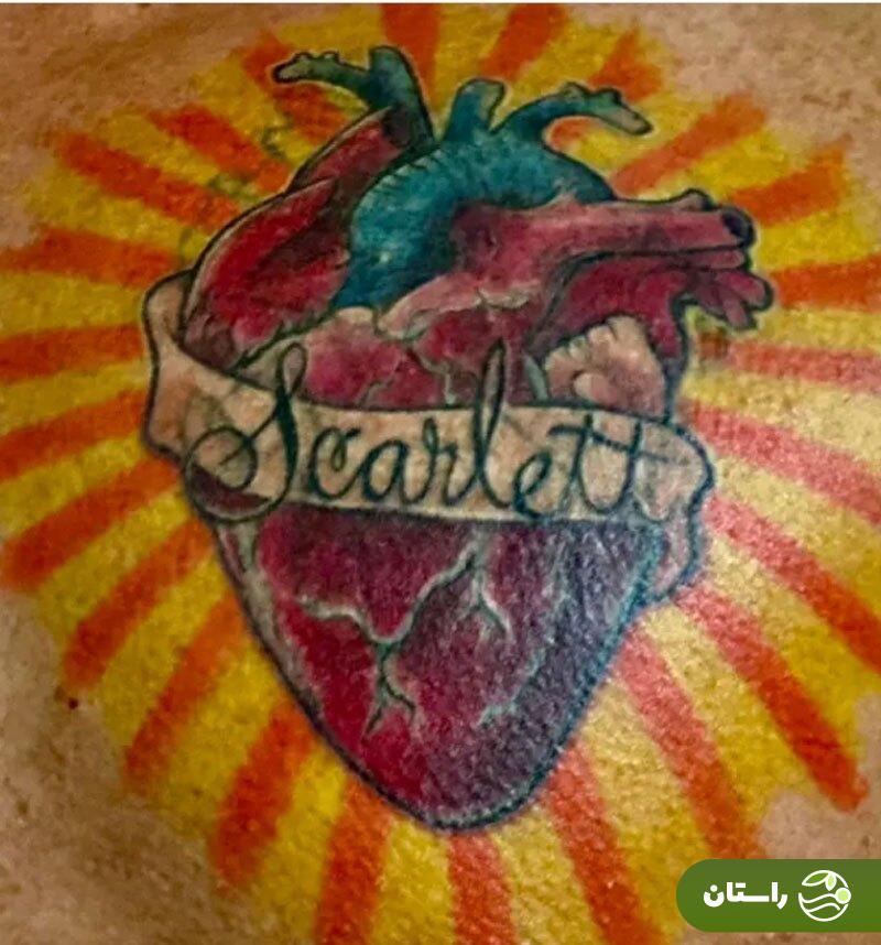 تصاویر | این مرد عاشق اسکارلت جوهانسون او را تهدید به بمبگذاری کرد! تصاویر | این مرد عاشق اسکارلت جوهانسون او را تهدید به بمبگذاری کرد!