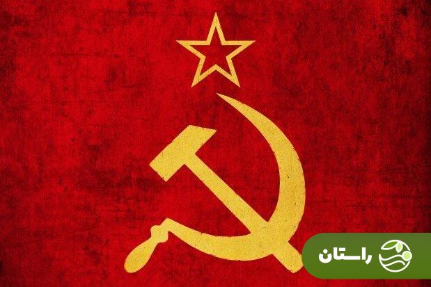 تتو روی سر شمشیر پدر داماد نقی معمولی در پایتخت ۷ نشانه چیست و چه کسانی این تتو را میزدند؟ تتو روی سر شمشیر پدر داماد نقی معمولی در پایتخت ۷ نشانه چیست و چه کسانی این تتو را میزدند؟