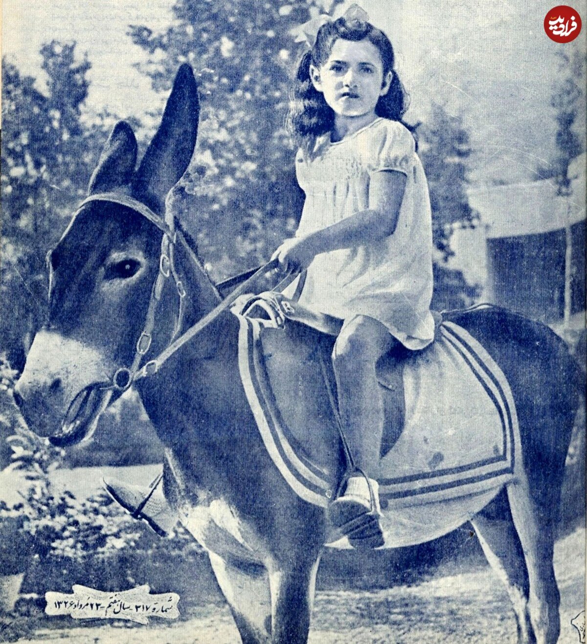 عکس | تونل زمان؛ الاغ سواری شهناز پهلوی با حیوان مورد علاقهاش در سال ۱۳۲۶ عکس | تونل زمان؛ الاغ سواری شهناز پهلوی با حیوان مورد علاقهاش در سال ۱۳۲۶