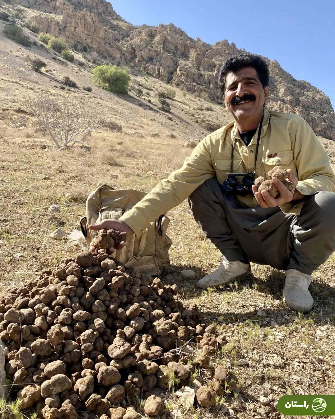 از کلوس تا دمبل؛ گرانترین سبزیهای بهاری در ایران و خوشمزهترین غذاهایی که با آنها میتوان پخت مردی خندان در کنار یک گونی از دنبلان کوهی