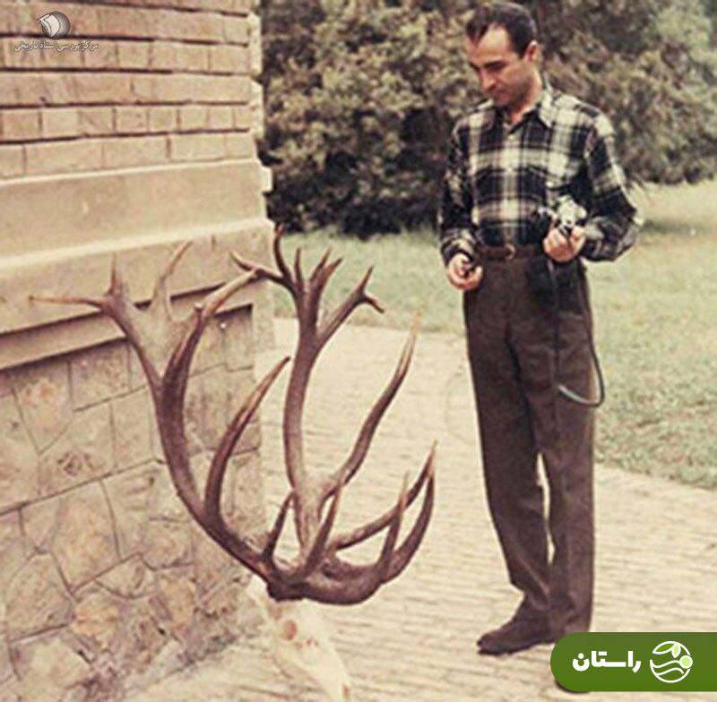 عکس | تونل زمان؛ عبدالرضا پهلوی، شاهزاده شکارچی که بود؟ عکس | تونل زمان؛ عبدالرضا پهلوی، شاهزاده شکارچی که بود؟