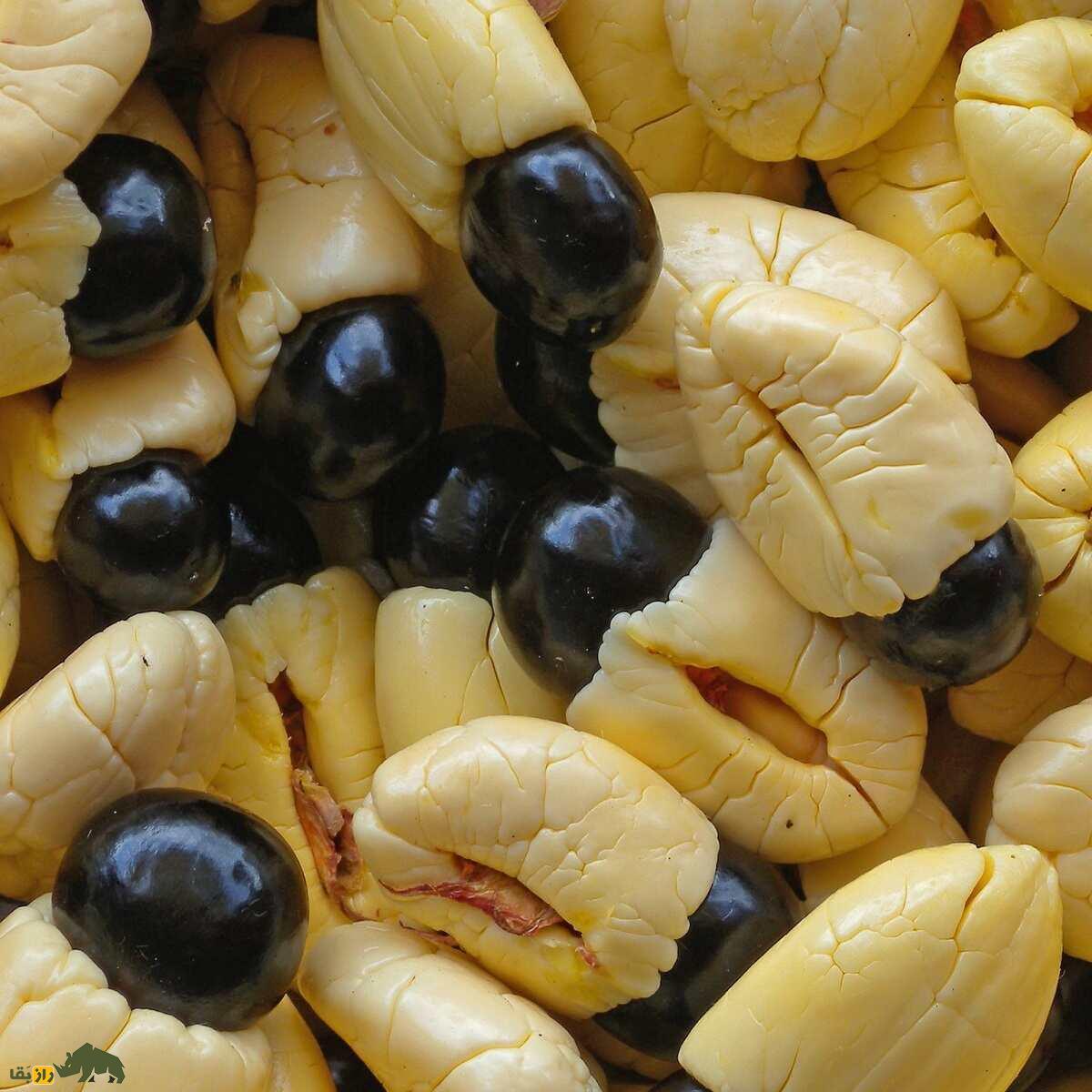 میوه آکی؛ میوهای عجیب که هم آدم میکشد و هم میشود با آن خوشمزهترین صبحانه جهان را درست کرد میوه آکی؛ میوهای عجیب که هم آدم میکشد و هم میشود با آن خوشمزهترین صبحانه جهان را درست کرد