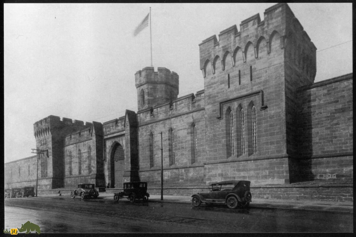 این سگ به جرم قتل یک گربه زندانی شد! + تصاویر این سگ به جرم قتل یک گربه زندانی شد! + تصاویر