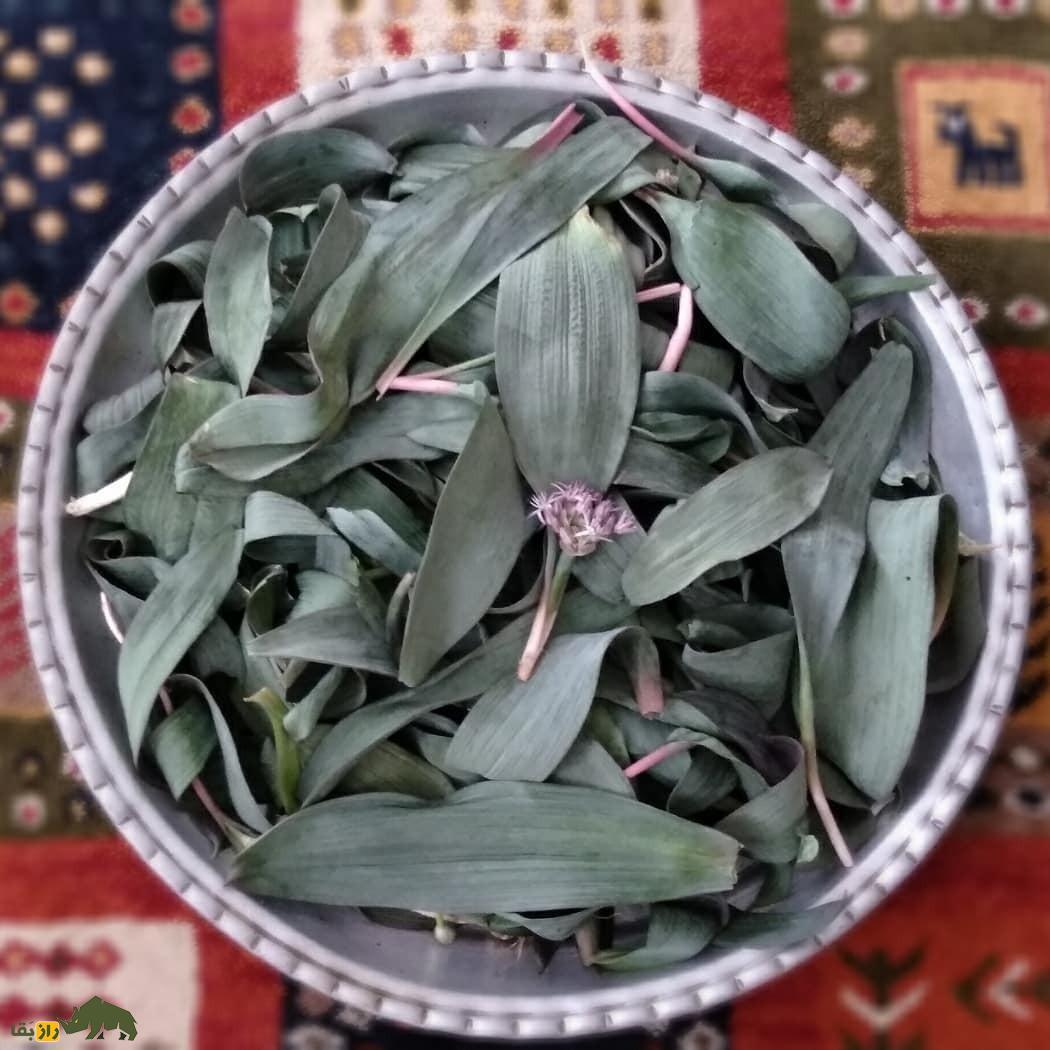 والک؛ محبوبترین و خوشمزهترین سبزی بهار کجا پیدا میشود؟ + دستور پخت والک پلو و کوکو والک والک