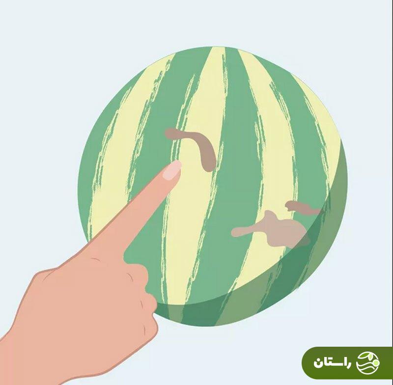 چطور یک هندوانه شیرین و آبدار انتخاب کنیم؟ چطور یک هندوانه شیرین و آبدار انتخاب کنیم؟