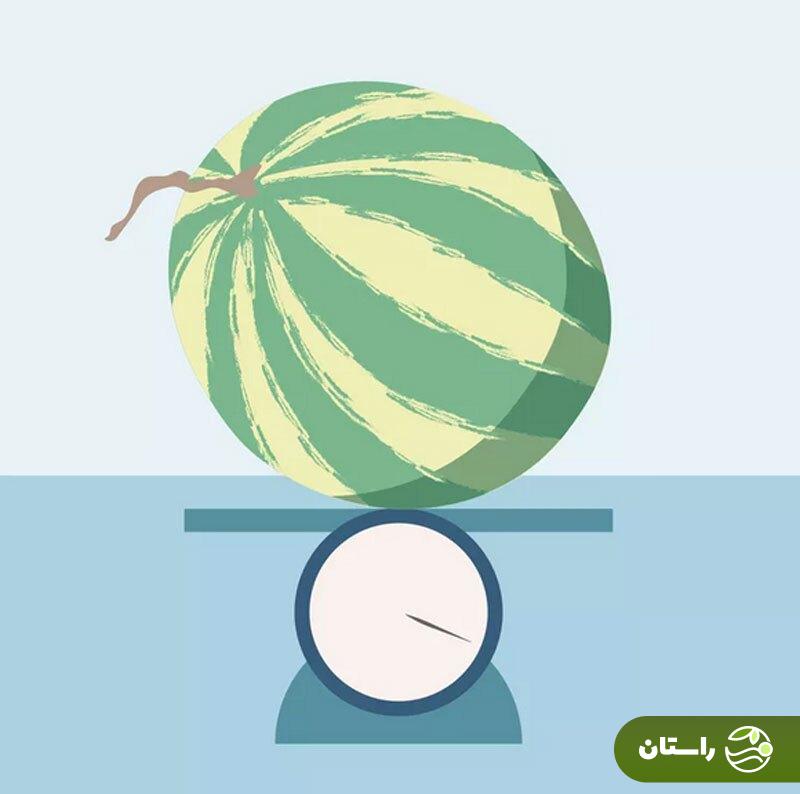 چطور یک هندوانه شیرین و آبدار انتخاب کنیم؟ چطور یک هندوانه شیرین و آبدار انتخاب کنیم؟