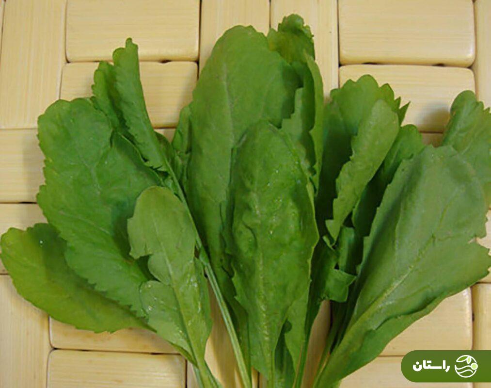 تره تیزک یا سبزی شاهی