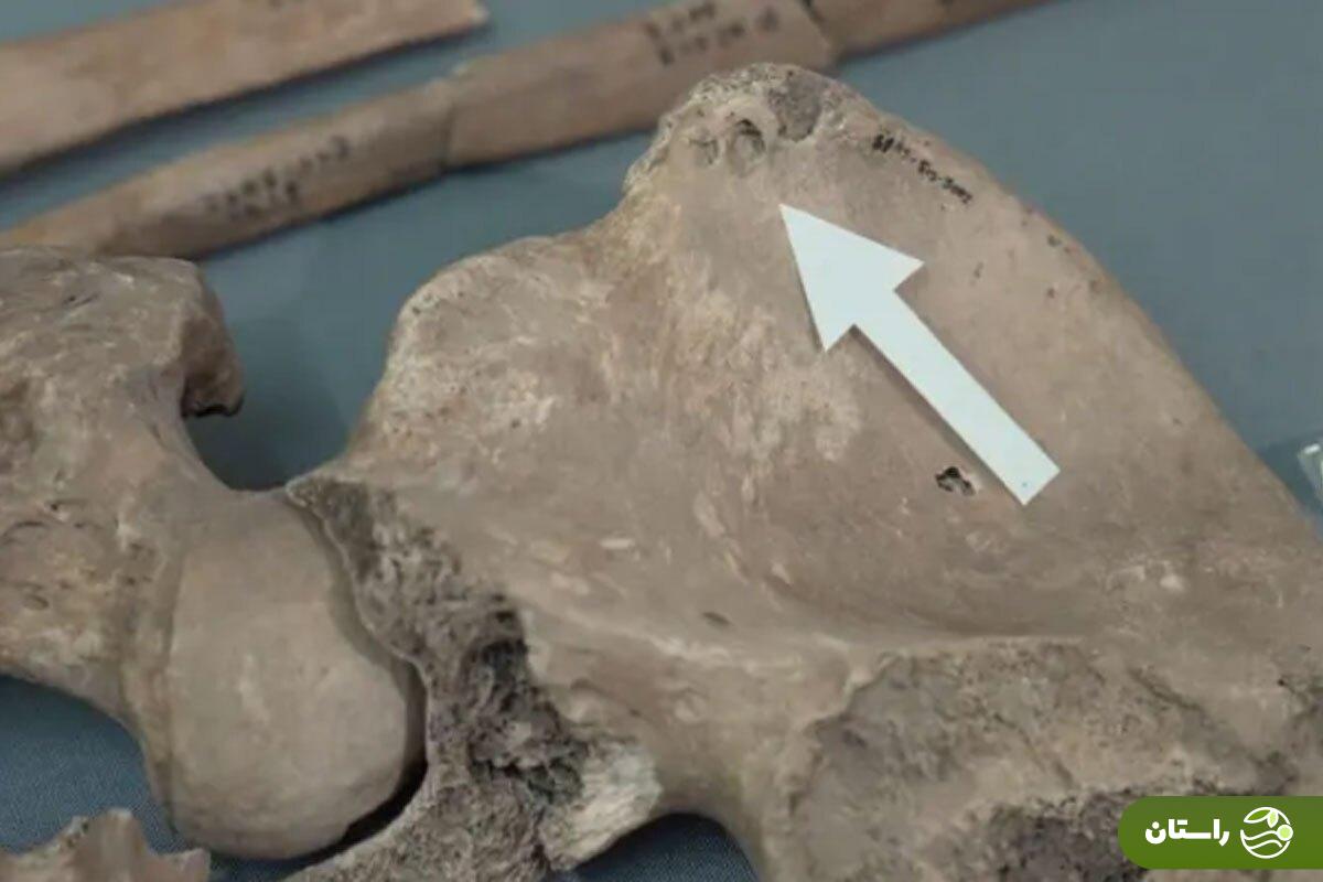 حقایق عجیب درباره اولین مبارزه انسان و شیر  + عکس