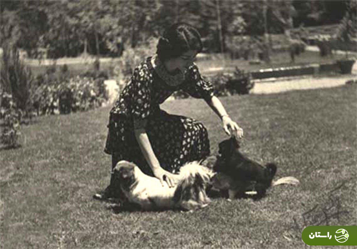 عکس | تونل زمان؛ داستان شمس پهلوی؛ از تجارت الماس تا دلالی خودرو عکس | تونل زمان؛ داستان شمس پهلوی؛ از تجارت الماس تا دلالی خودرو 