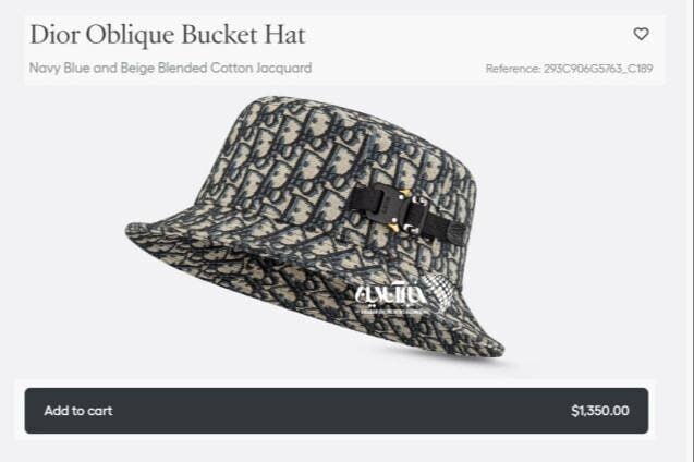 عکس | قیمت عجیب و نجومی کلاه زشت رامین رضاییان! عکس | قیمت عجیب و نجومی کلاه زشت رامین رضاییان!