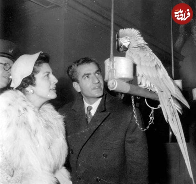 عکس | تونل زمان؛ «ثریا و محمدرضا پهلوی» در حال حرف زدن با طوطی؛ دهه ۳۰