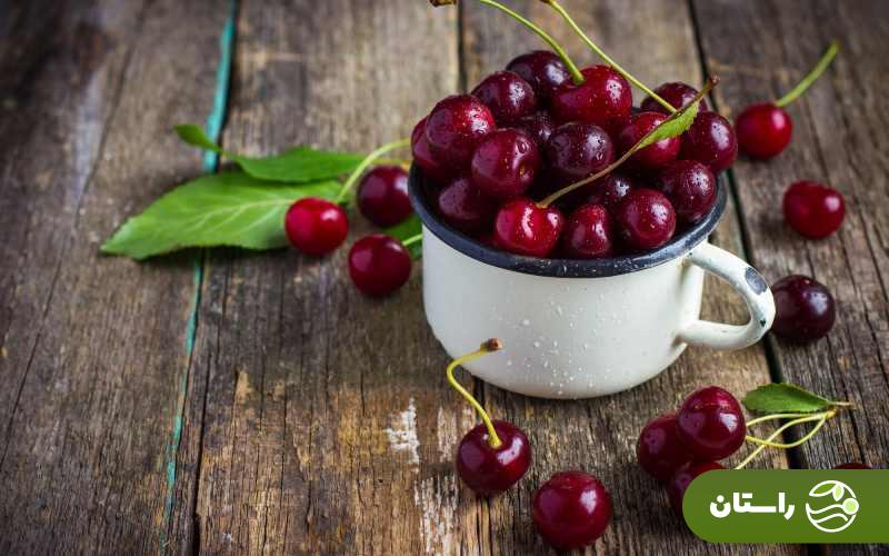 گیلاسها رسیدند؛ طرز تهیه و چند ترفند ساده برای درست کردن خوشمزهترین ترشی گیلاس گیلاس