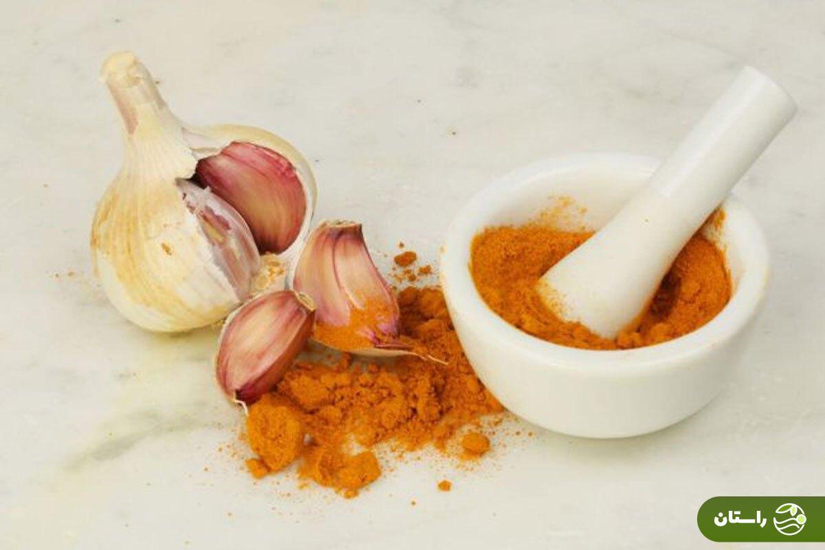 زردچوبه و سیر طی ۸ هفته روند پیری را معکوس می‌کند