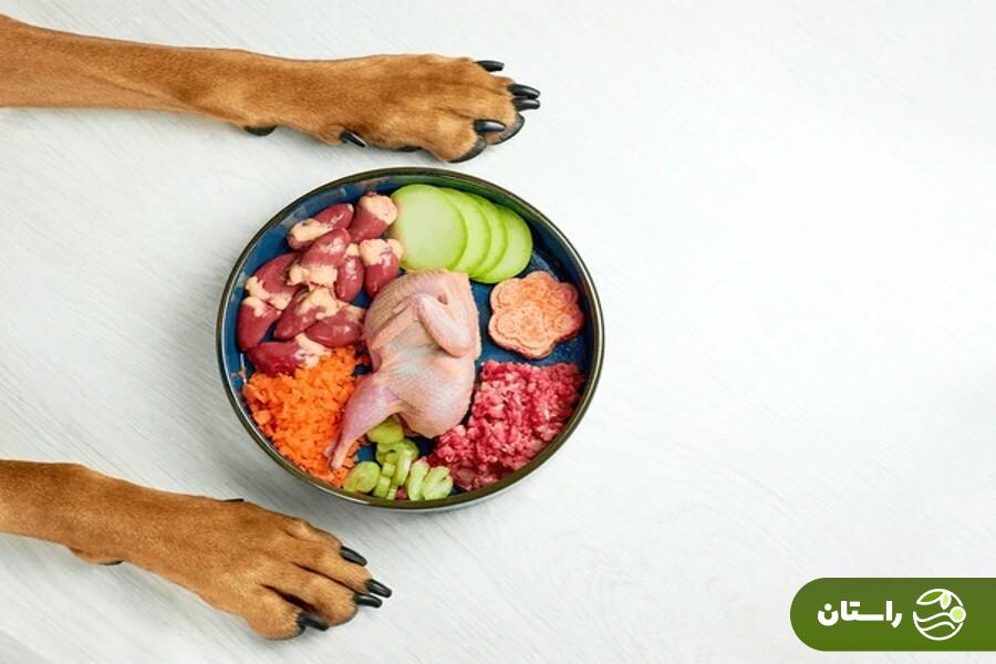 طرز تهیه ۱۰ غذای خانگی سگ و توله سگ + نکات طلایی که هیچوقت نباید فراموش کنید طرز تهیه ۱۰ غذای خانگی سگ و توله سگ + نکات طلایی که هیچوقت نباید فراموش کنید