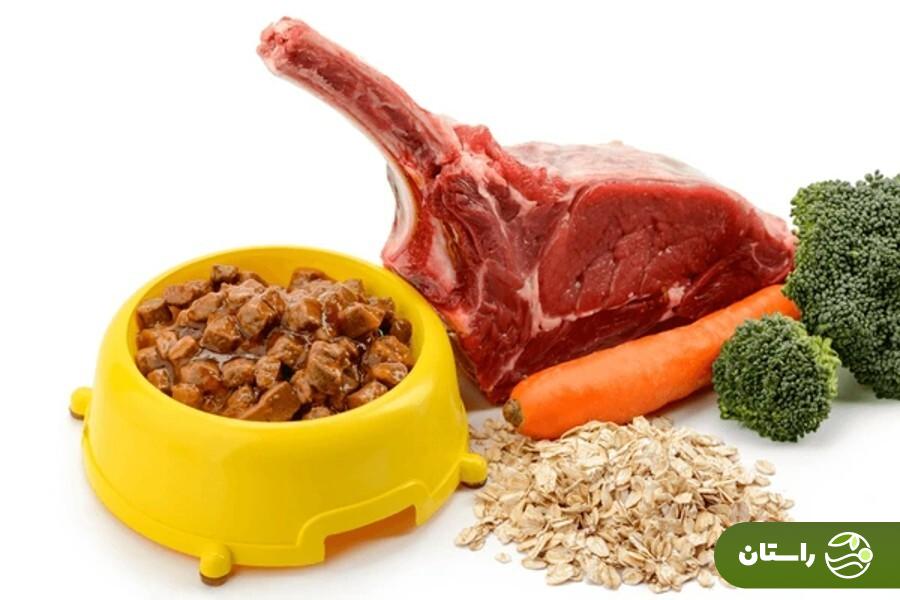 طرز تهیه ۱۰ غذای خانگی سگ و توله سگ + نکات طلایی که هیچوقت نباید فراموش کنید طرز تهیه ۱۰ غذای خانگی سگ و توله سگ + نکات طلایی که هیچوقت نباید فراموش کنید