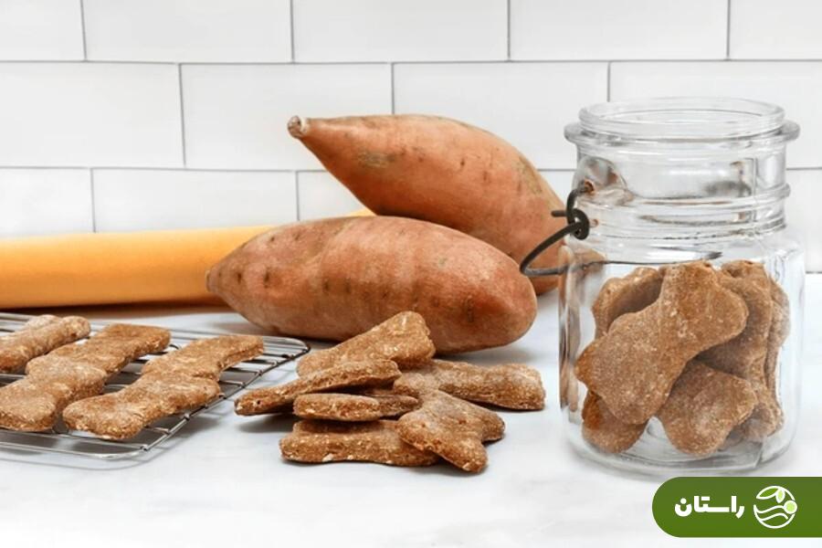 طرز تهیه ۱۰ غذای خانگی سگ و توله سگ + نکات طلایی که هیچوقت نباید فراموش کنید طرز تهیه ۱۰ غذای خانگی سگ و توله سگ + نکات طلایی که هیچوقت نباید فراموش کنید