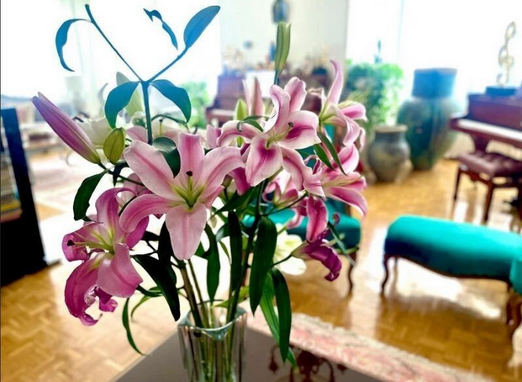 دکوراسیون خانه نرگس محمدی و علی اوجی چه شکلی است؟