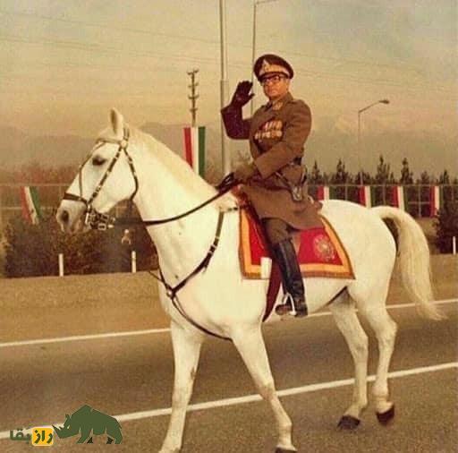 تصاویر | تونل زمان؛ داستان آذر اسب محبوب محمدرضا پهلوی که بعد از انقلاب به شکل عجیبی کشته شد تصاویر | تونل زمان؛ داستان آذر اسب محبوب محمدرضا پهلوی که بعد از انقلاب به شکل عجیبی کشته شد