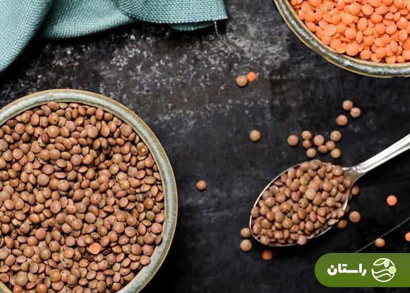 ۱۶ ماده غذایی پروتئیندار؛ بهترین منابع پروتئین و میزان پروتئین هر کدام ۱۶ ماده غذایی پروتئیندار؛ بهترین منابع پروتئین و میزان پروتئین هر کدام