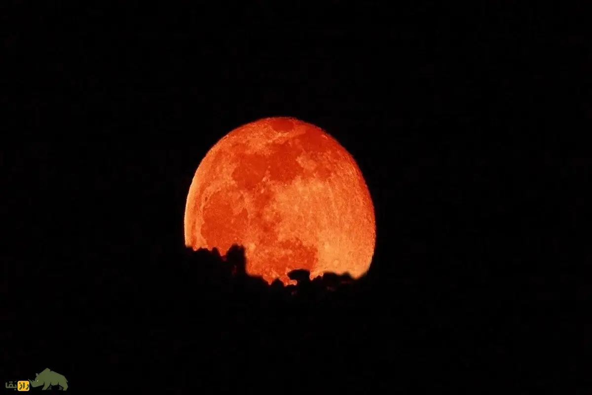 زمان دقیق ماه گرفتگی یا خسوف کامل و ماه خونین یکشنبه ۱۶ شهریور ۱۴۰۴؛ بهترین نقطه ایران برای دیدن ماهگرفتگی زمان دقیق ماه گرفتگی یا خسوف کامل و ماه خونین یکشنبه ۱۶ شهریور ۱۴۰۴؛ بهترین نقطه ایران برای دیدن ماهگرفتگی