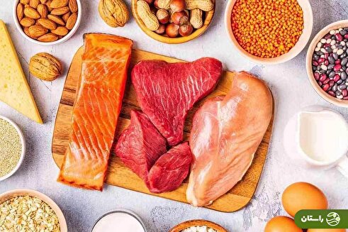 ۱۶ ماده غذایی پروتئین‌دار؛ بهترین منابع پروتئین و میزان پروتئین هر کدام