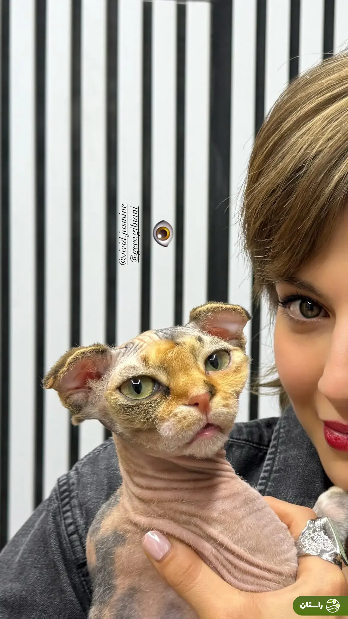 (عکس) سلفی مهسا حجازی با یک گربه بی‌مو