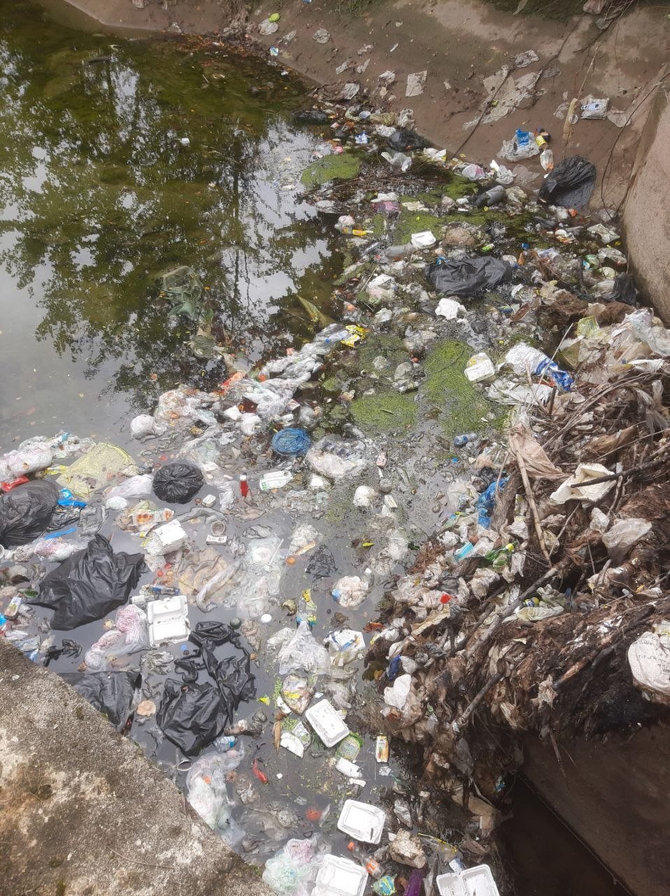 تصاویر تلخ از چهره شهر‌های شمالی بعد از تعطیلات اخیر