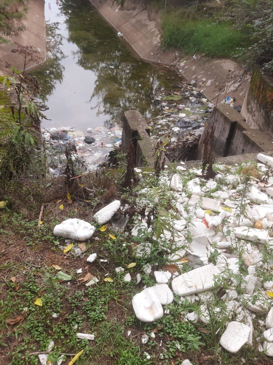 تصاویر تلخ از چهره شهر‌های شمالی بعد از تعطیلات اخیر