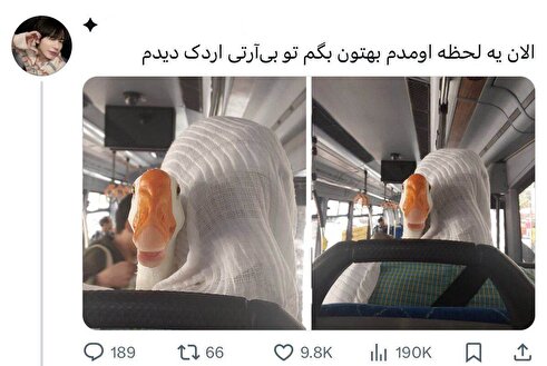 (عکس) حیوان خانگی عجیب یک خانم در بی آرتی وایرال شد